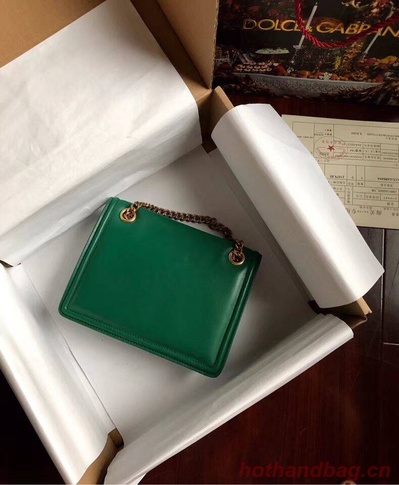 Dolce & Gabbana Calfskin Leather 4046 green Dolce & Gabbana Calfskin Leather 4046 green