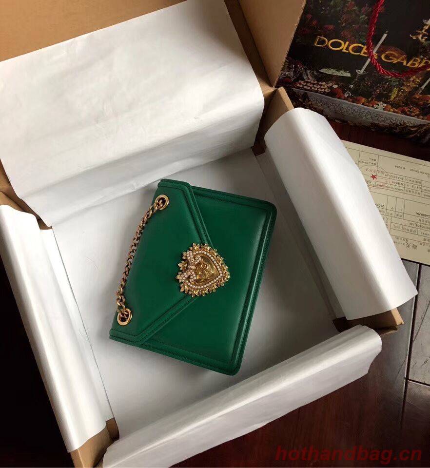 Dolce & Gabbana Calfskin Leather 4046 green Dolce & Gabbana Calfskin Leather 4046 green