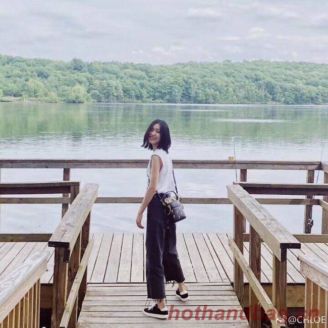 CHLOE Tess Small leather shoulder bag 3E153 grey CHLOE Tess Small leather shoulder bag 3E153 grey