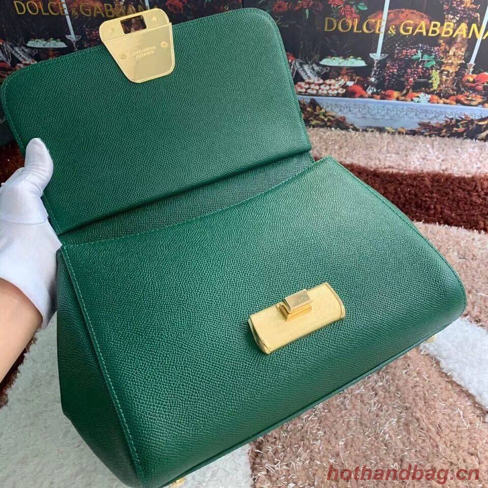Dolce & Gabbana Origianl Leather Bag 4131 green Dolce & Gabbana Origianl Leather Bag 4131 green