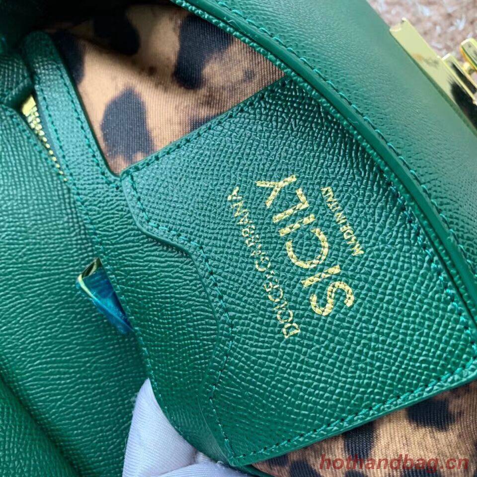 Dolce & Gabbana Origianl Leather Bag 4131 green Dolce & Gabbana Origianl Leather Bag 4131 green