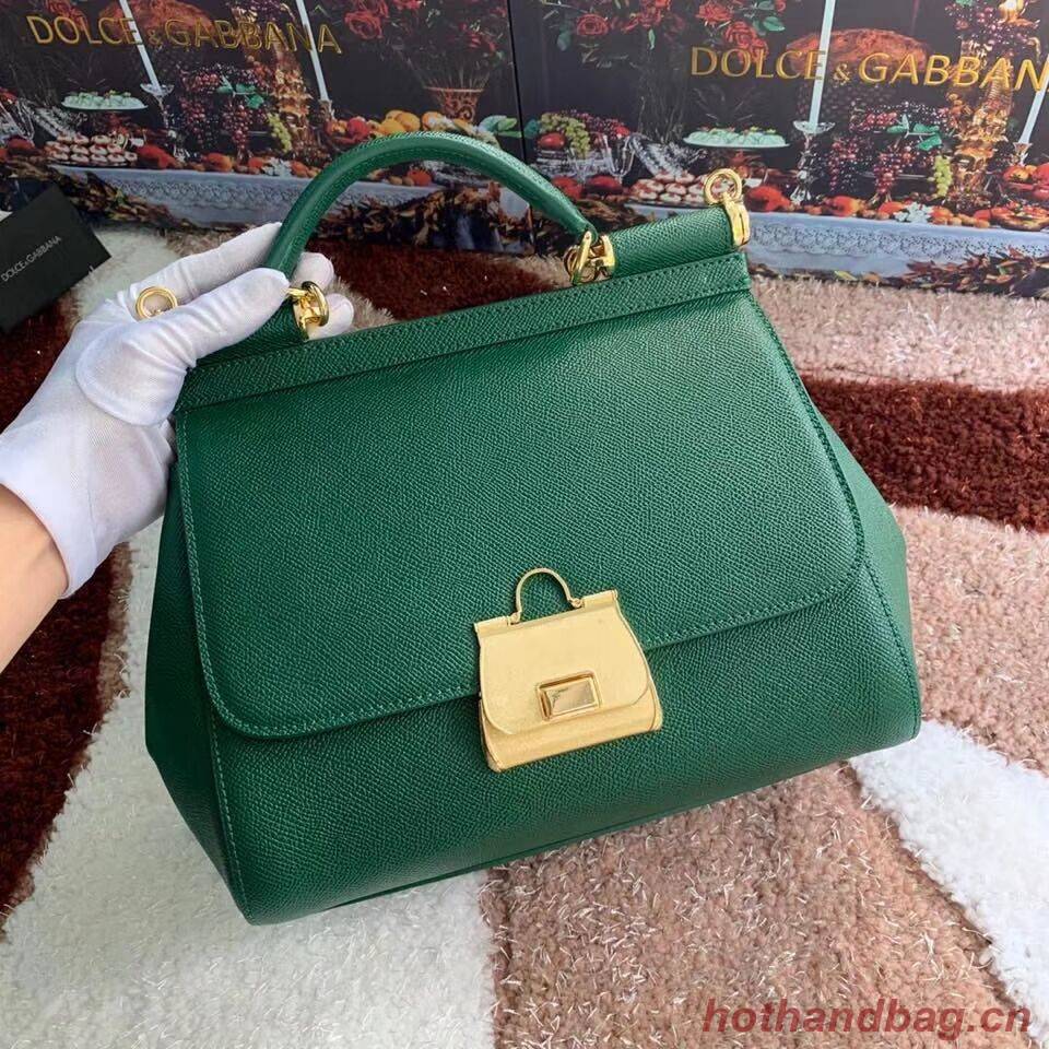 Dolce & Gabbana Origianl Leather Bag 4131 green Dolce & Gabbana Origianl Leather Bag 4131 green