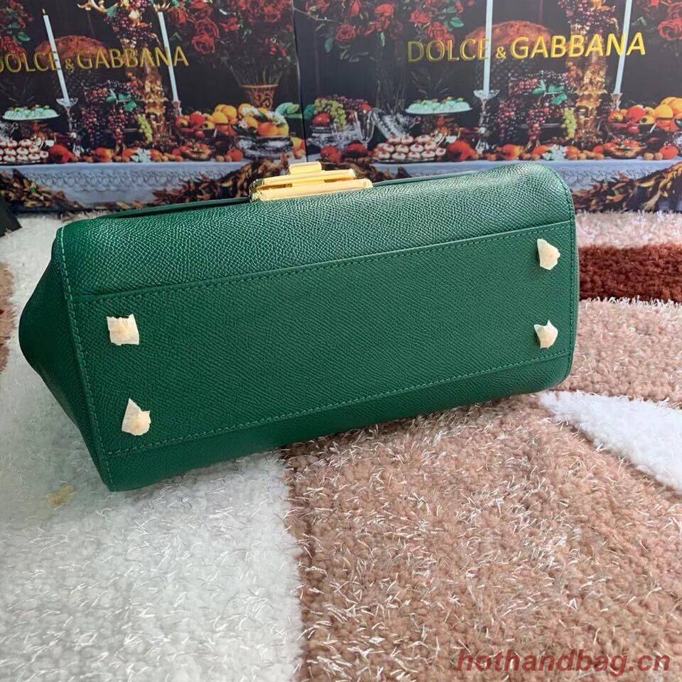 Dolce & Gabbana Origianl Leather Bag 4131 green Dolce & Gabbana Origianl Leather Bag 4131 green