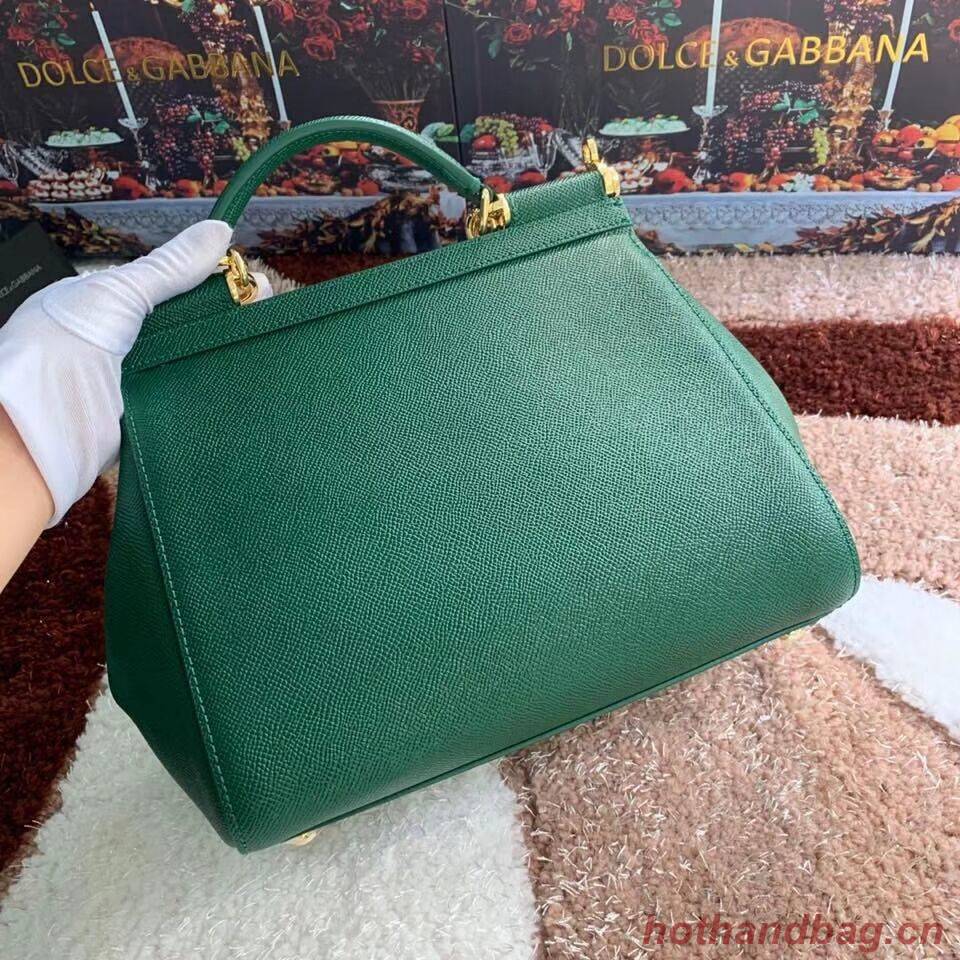 Dolce & Gabbana Origianl Leather Bag 4131 green Dolce & Gabbana Origianl Leather Bag 4131 green