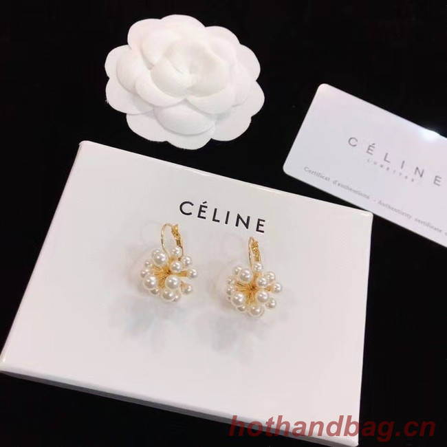 CELINE Earrings CE5219