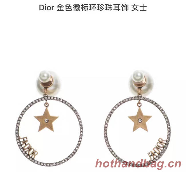 Dior Earrings CE5454