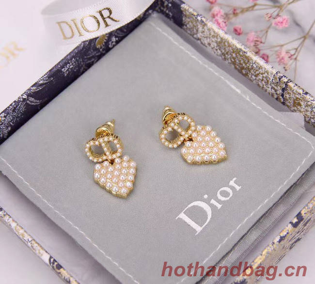 Dior Earrings CE5455