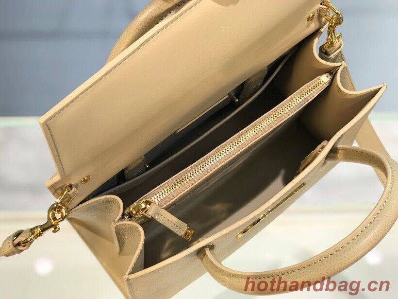DIOR MEDIUM ST HONORE TOTE Grained Calfskin M9321UMBA Beige DIOR MEDIUM ST HONORE TOTE Grained Calfskin M9321UMBA Beige