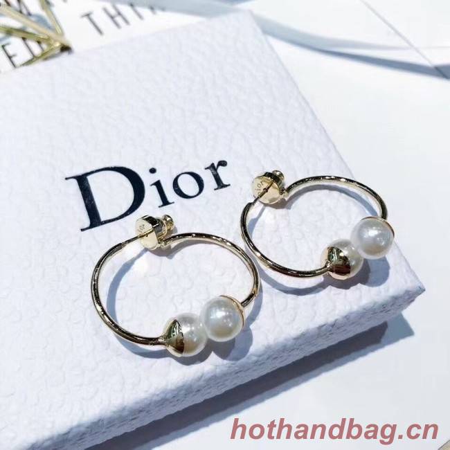 Dior Earrings CE6247