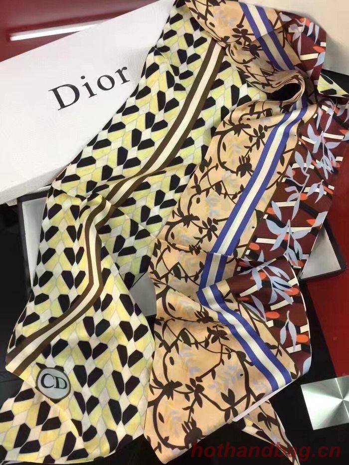 Dior Scarf DIS00017 Dior Scarf DIS00017