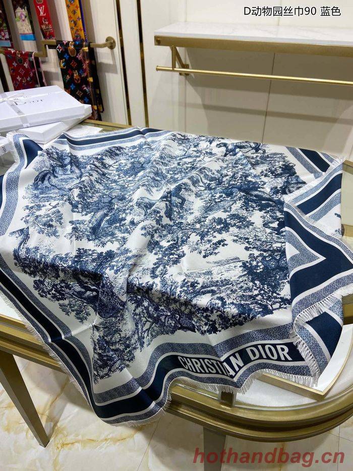Dior Scarf DIS00024 Dior Scarf DIS00024