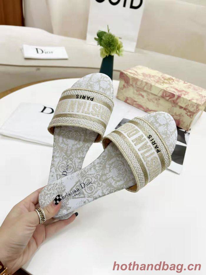 Dior Shoes DIS00178