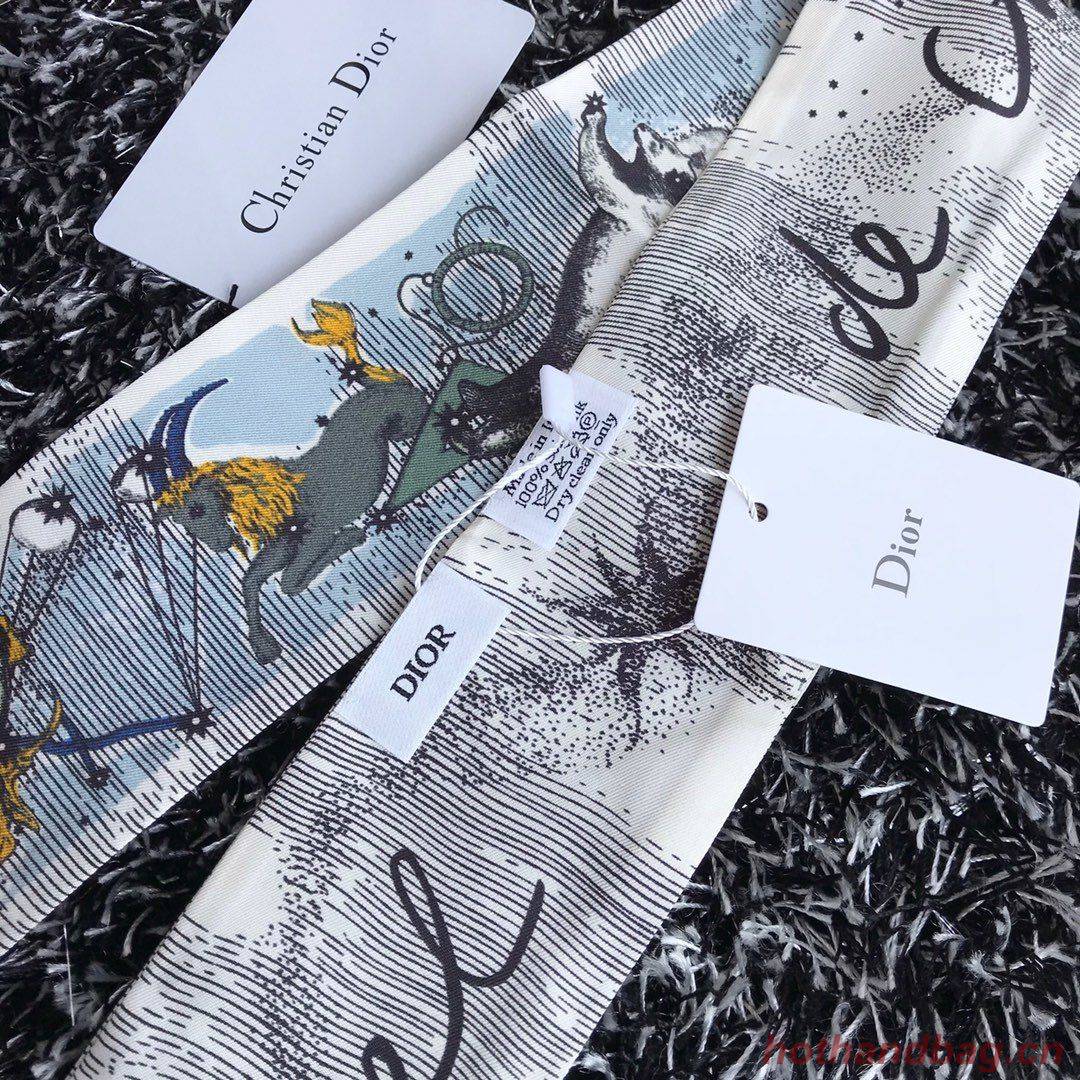 Dior Scarf DIC00005 Dior Scarf DIC00005