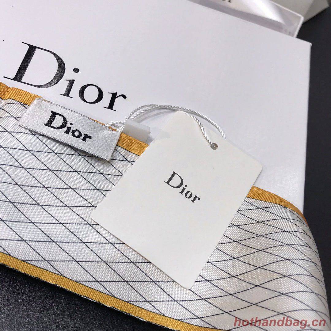 Dior Scarf DIC00008