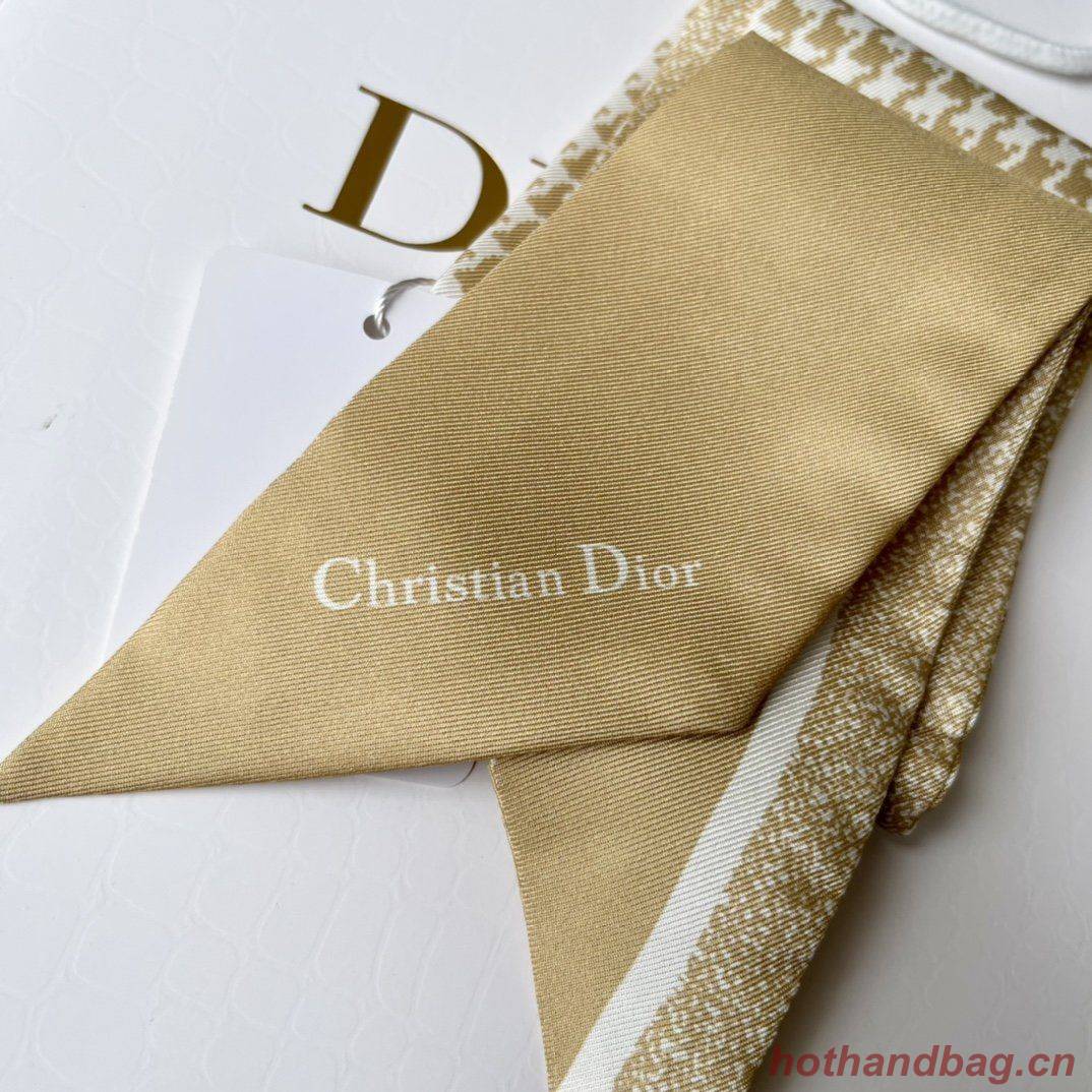 Dior Scarf DIC00013
