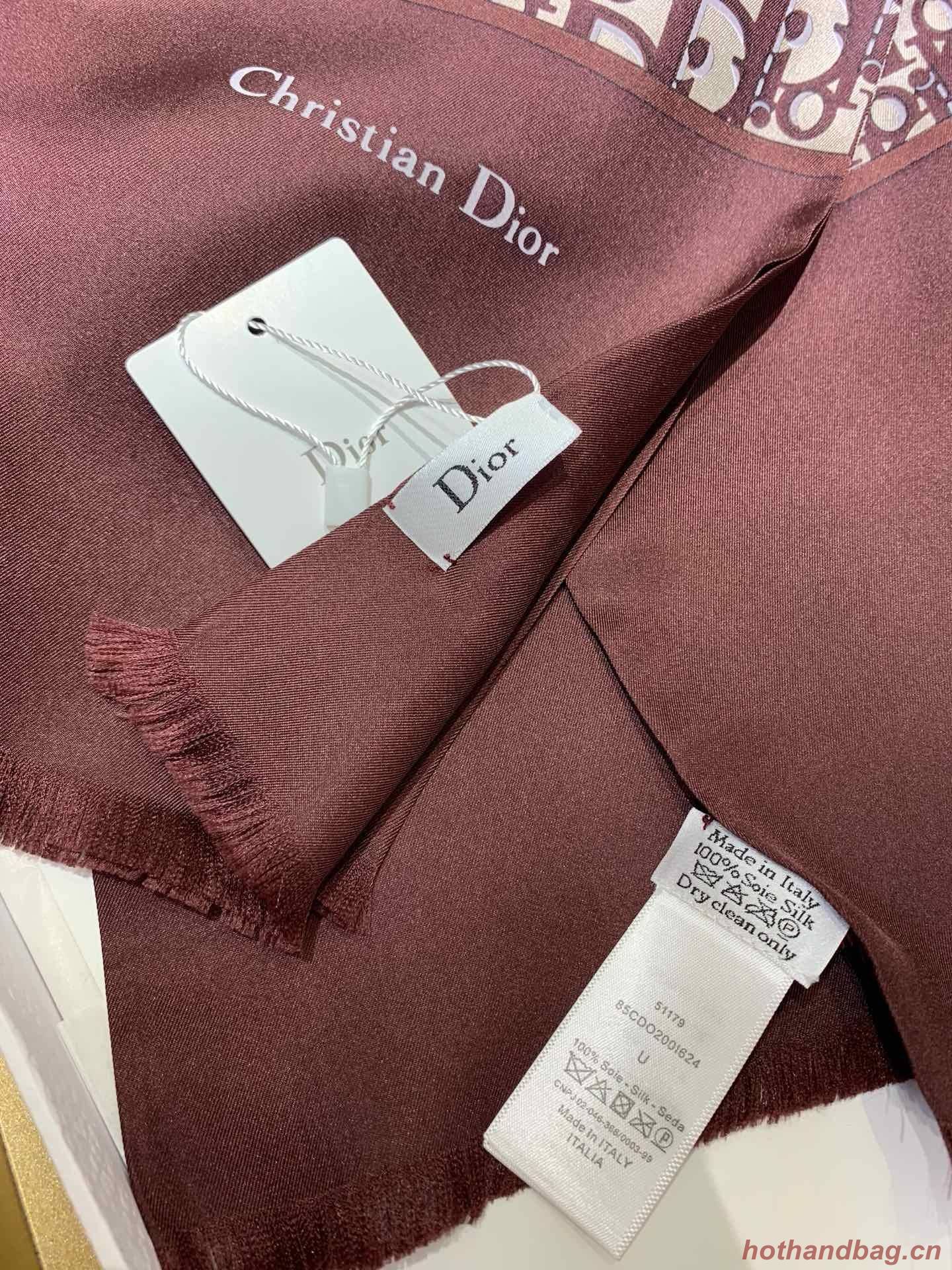 Dior Scarf DIC00030