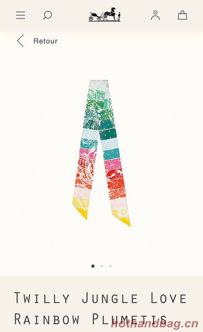 Hermes Scarf HEC00043 Hermes Scarf HEC00043