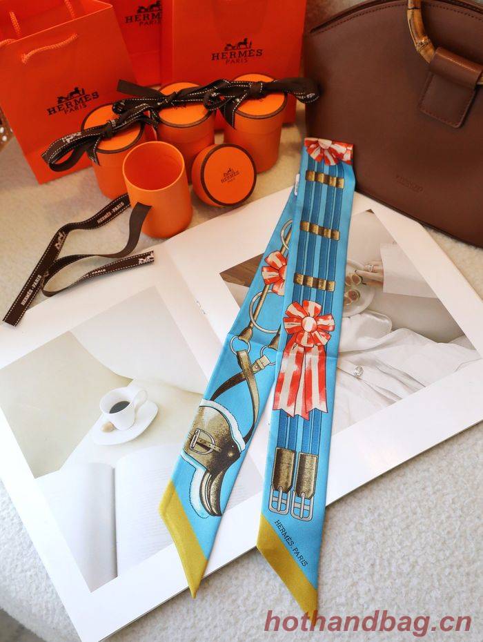 Hermes Scarf HEC00077 Hermes Scarf HEC00077