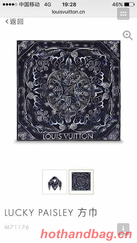 Louis Vuitton Scarf LVC00224