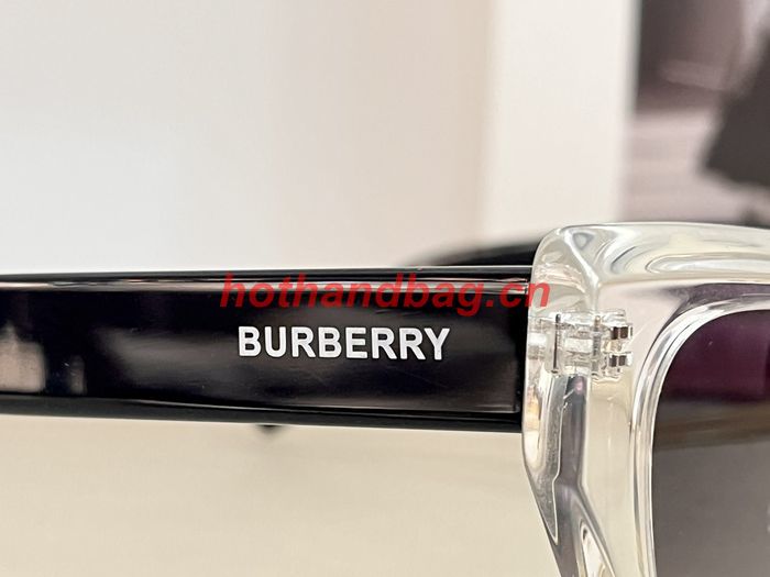 BurBerry Sunglasses Top Quality BBS00873