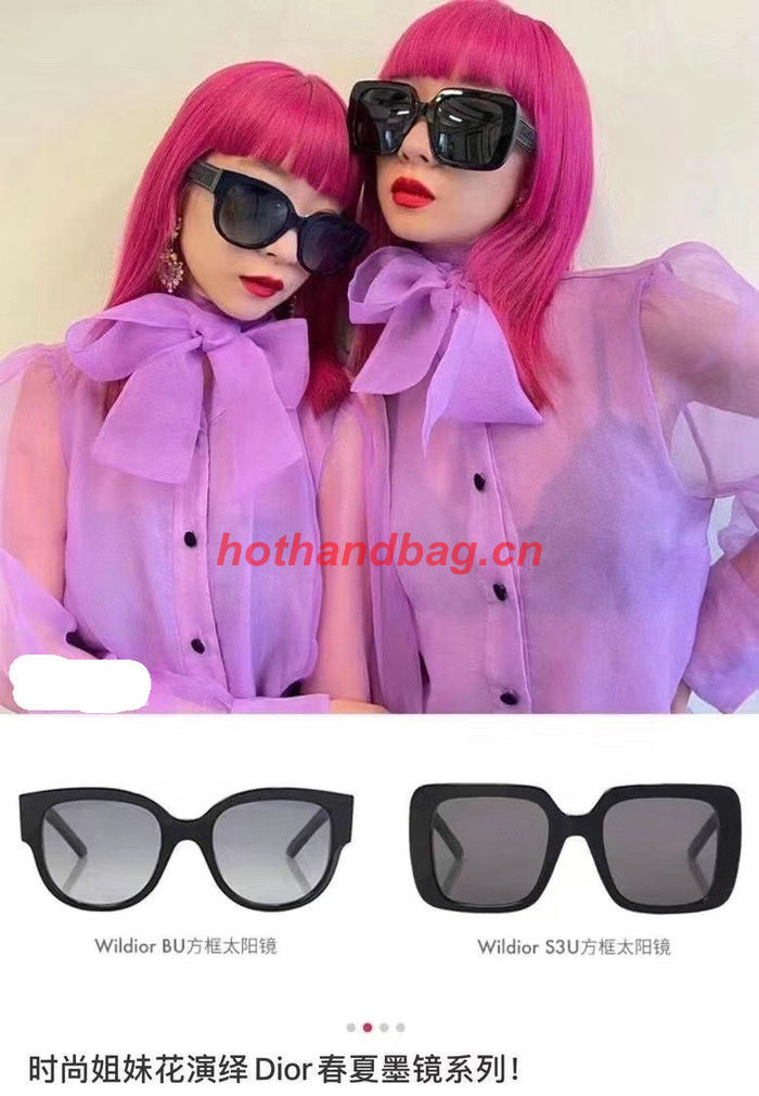 Dior Sunglasses Top Quality DIS02193