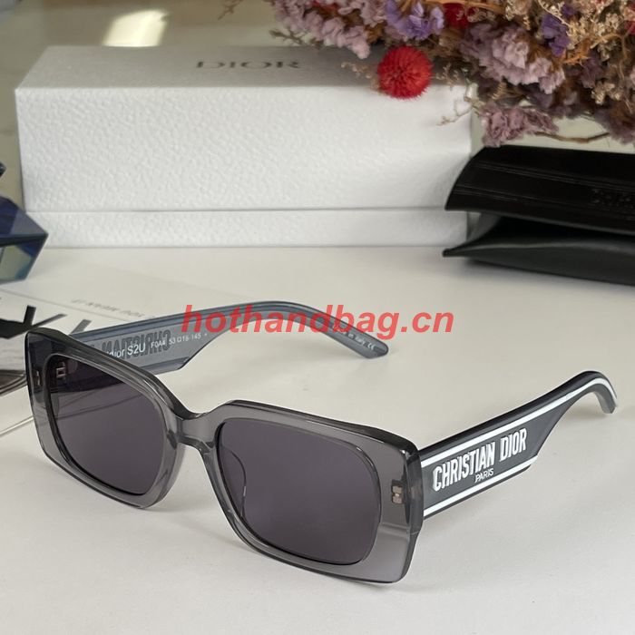 Dior Sunglasses Top Quality DIS02202