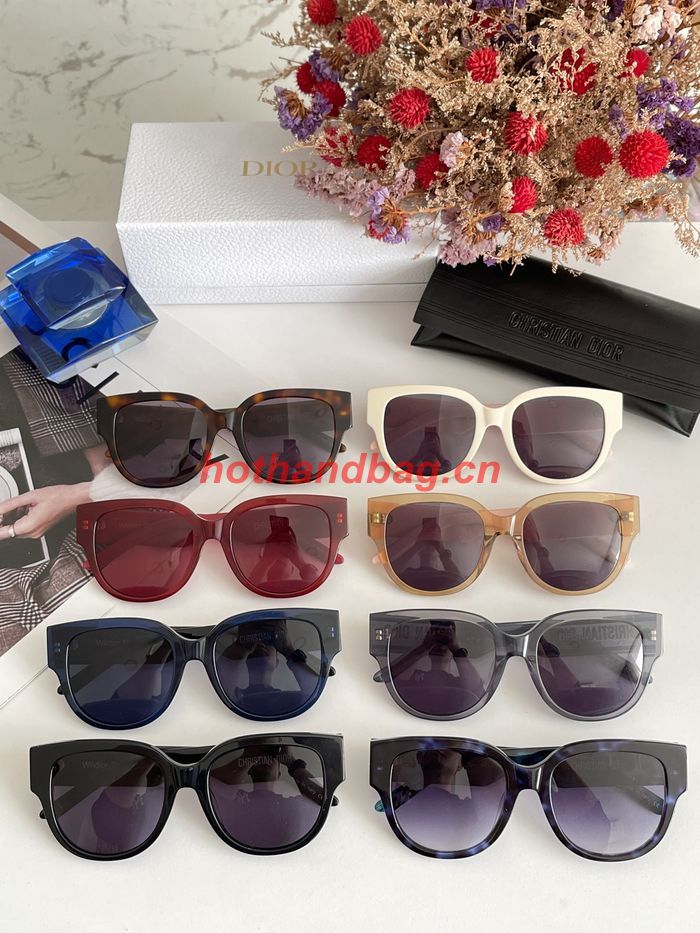 Dior Sunglasses Top Quality DIS02212