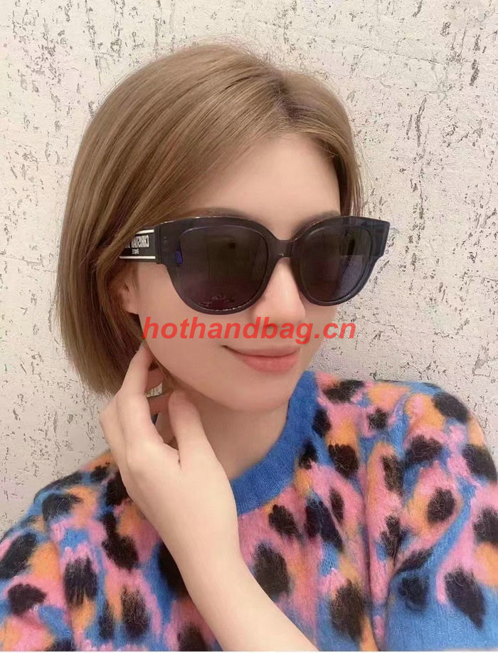 Dior Sunglasses Top Quality DIS02218