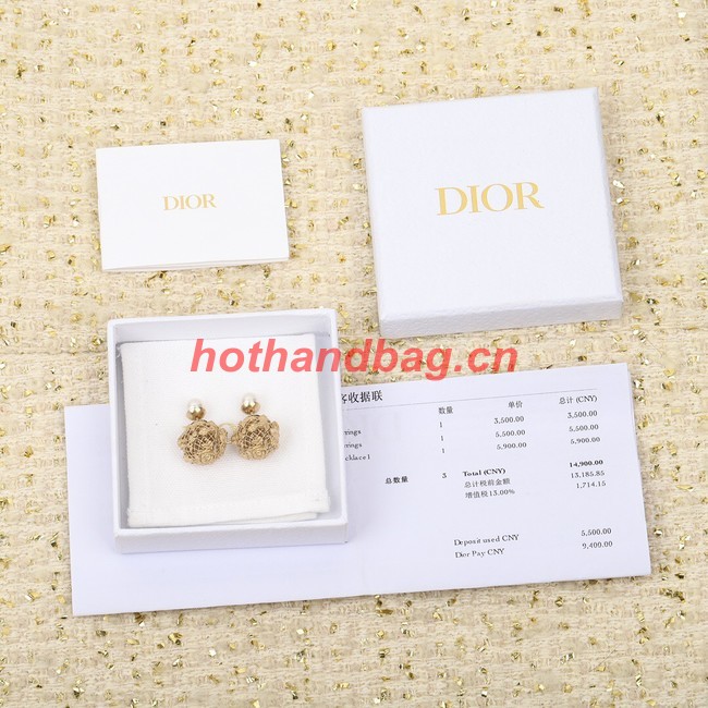 Dior Earrings CE11297