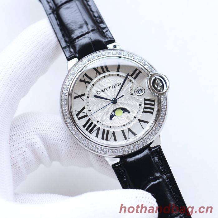 Cartier Watch CTW00289-2