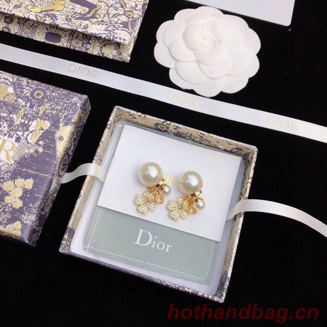 Dior Earrings CE11890
