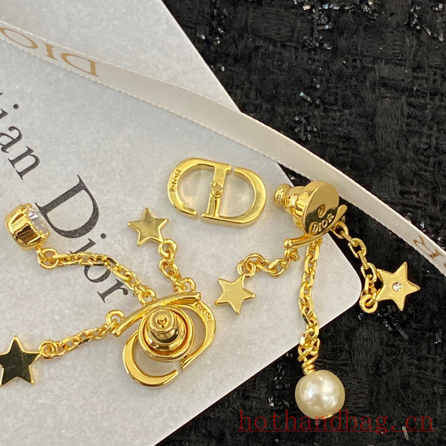 Dior Earrings CE12217 Dior Earrings CE12217