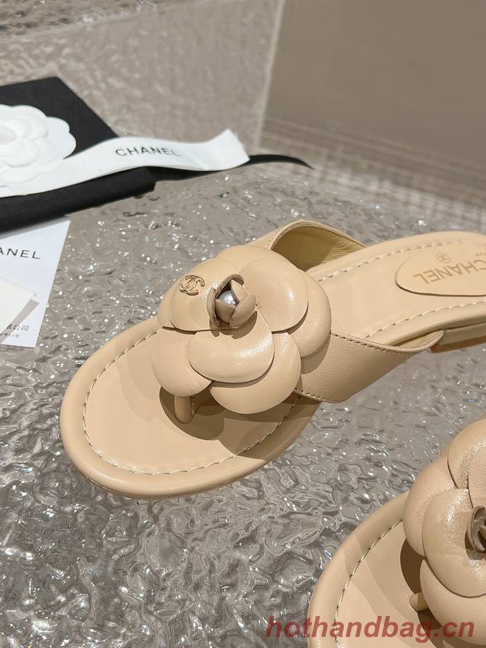 Chanel Shoes CHS00774 Heel 1CM