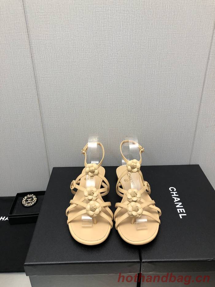 Chanel Shoes CHS00815