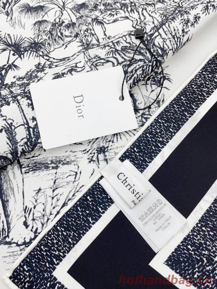 Dior Scarf DIC00172 Dior Scarf DIC00172