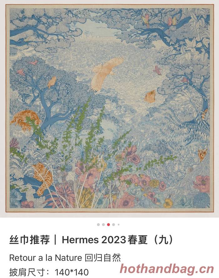 Hermes Scarf HEC00701 Hermes Scarf HEC00701