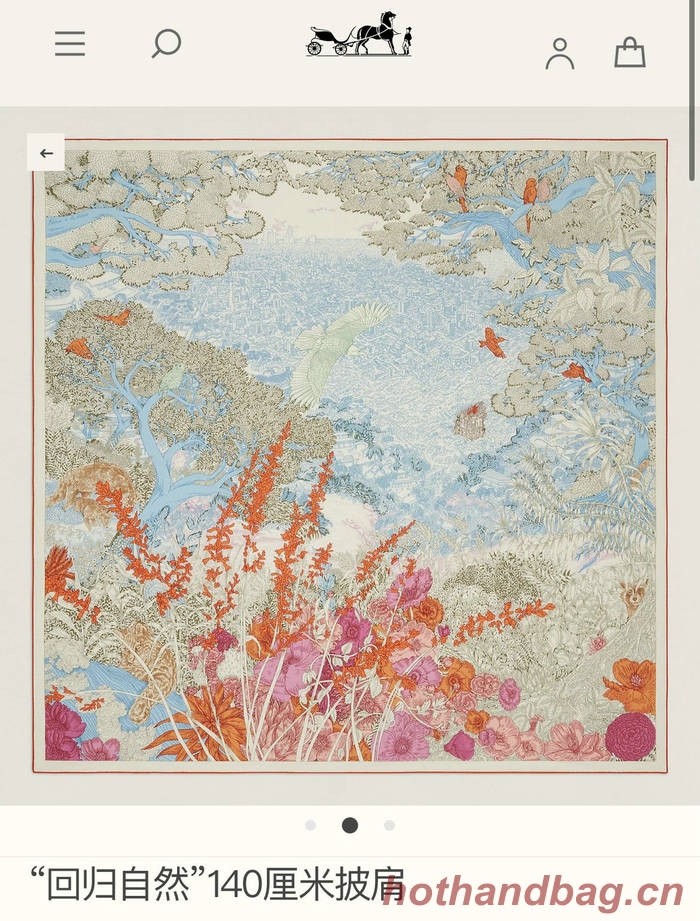 Hermes Scarf HEC00704 Hermes Scarf HEC00704