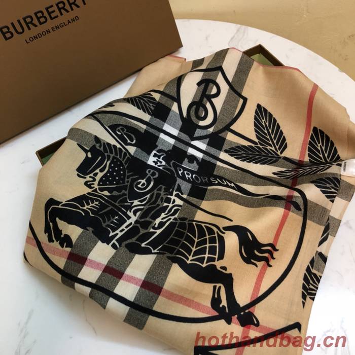 Burberry Scarf BBC00155 Burberry Scarf BBC00155