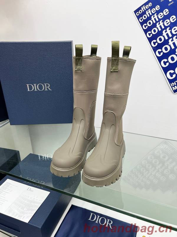 Dior Shoes DIS00415