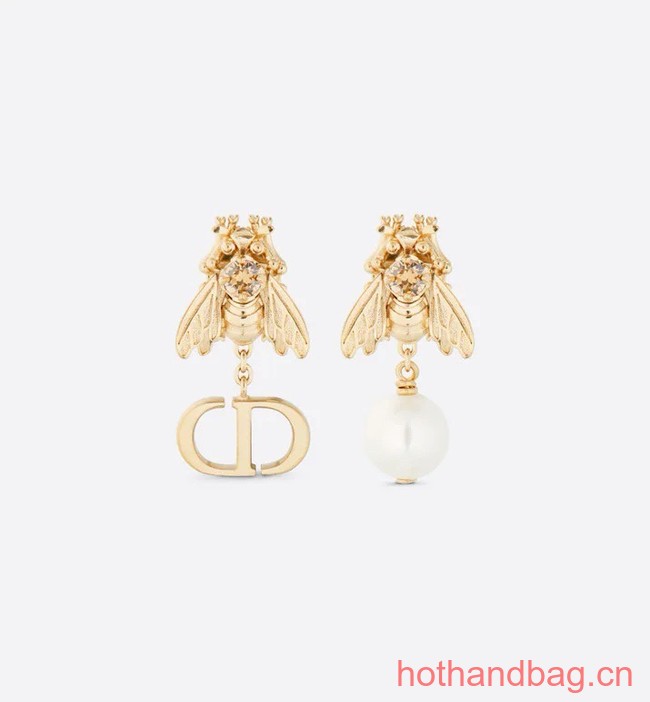 Dior Earrings CE13106