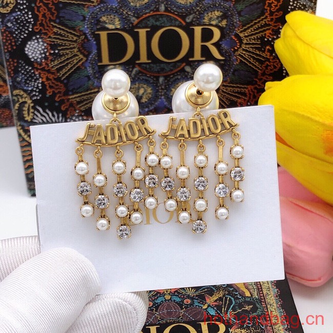 Dior Earrings CE13380