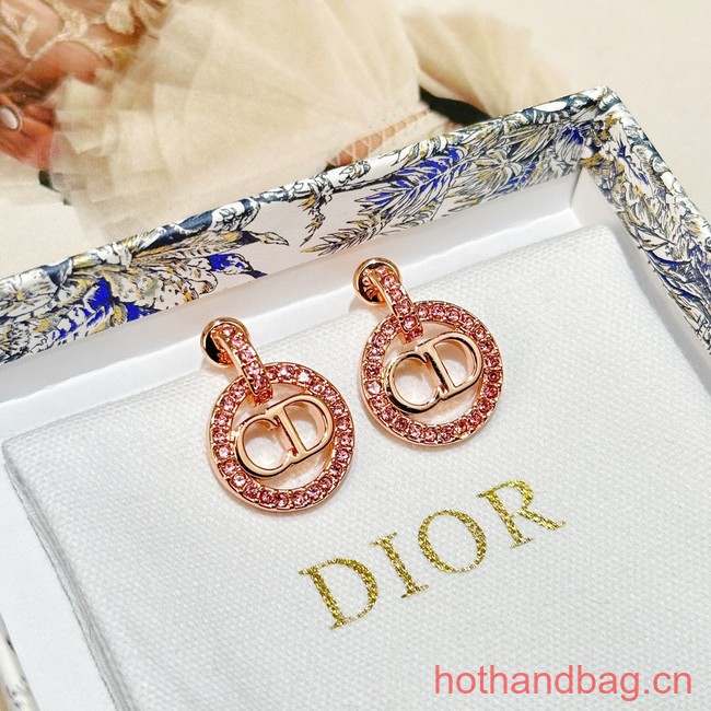 Dior Earrings CE13465