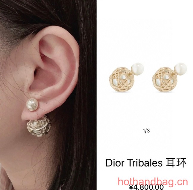 Dior Earrings CE13552