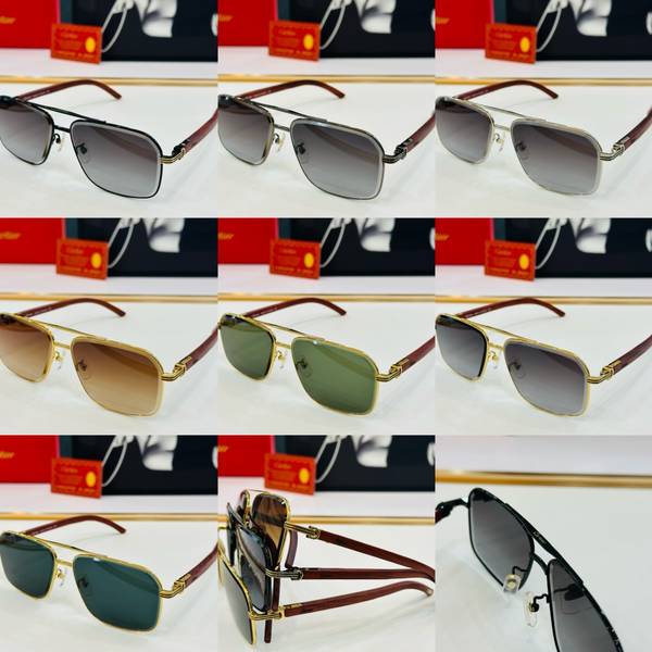 Cartier Sunglasses Top Quality CAS01059