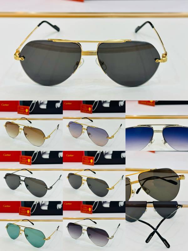 Cartier Sunglasses Top Quality CAS01079