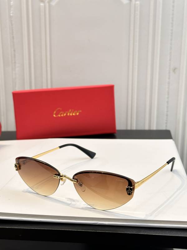 Cartier Sunglasses Top Quality CAS01106