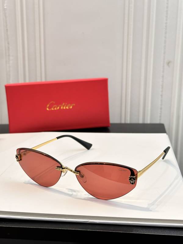 Cartier Sunglasses Top Quality CAS01107