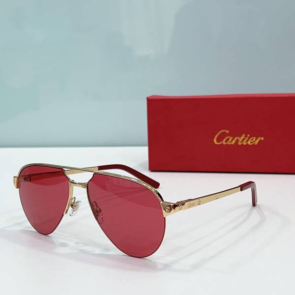 Cartier Sunglasses Top Quality CAS01207