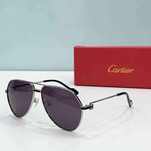 Cartier Sunglasses Top Quality CAS01210