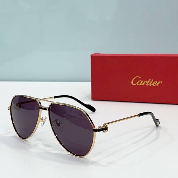 Cartier Sunglasses Top Quality CAS01211